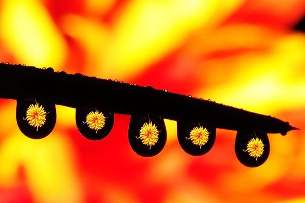 Asking the Right Questions