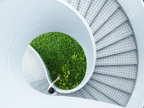 But You Can’t Do That in a STEM course!