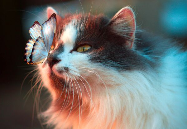 Do You Trust Your Students?