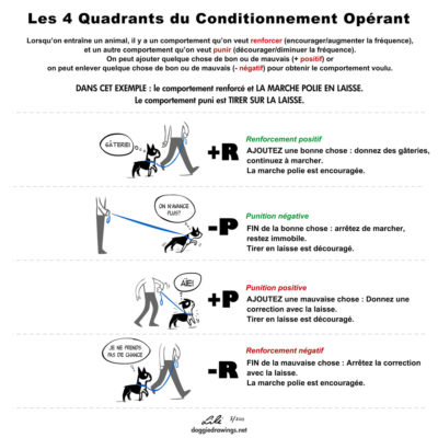 Tabular presentation of operant conditioning examples with text in French and sketches of a dog being trained.