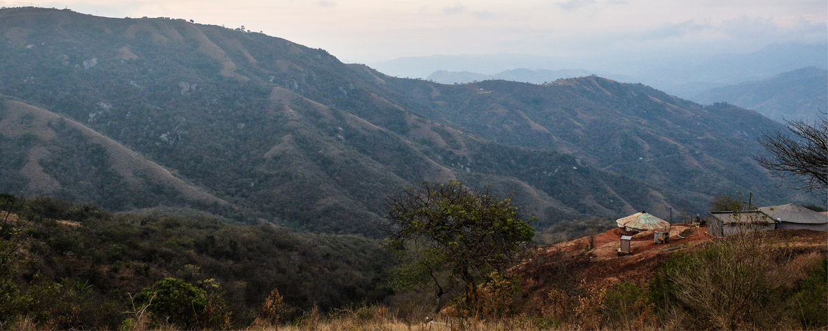 A Few Words From Our Board Chair