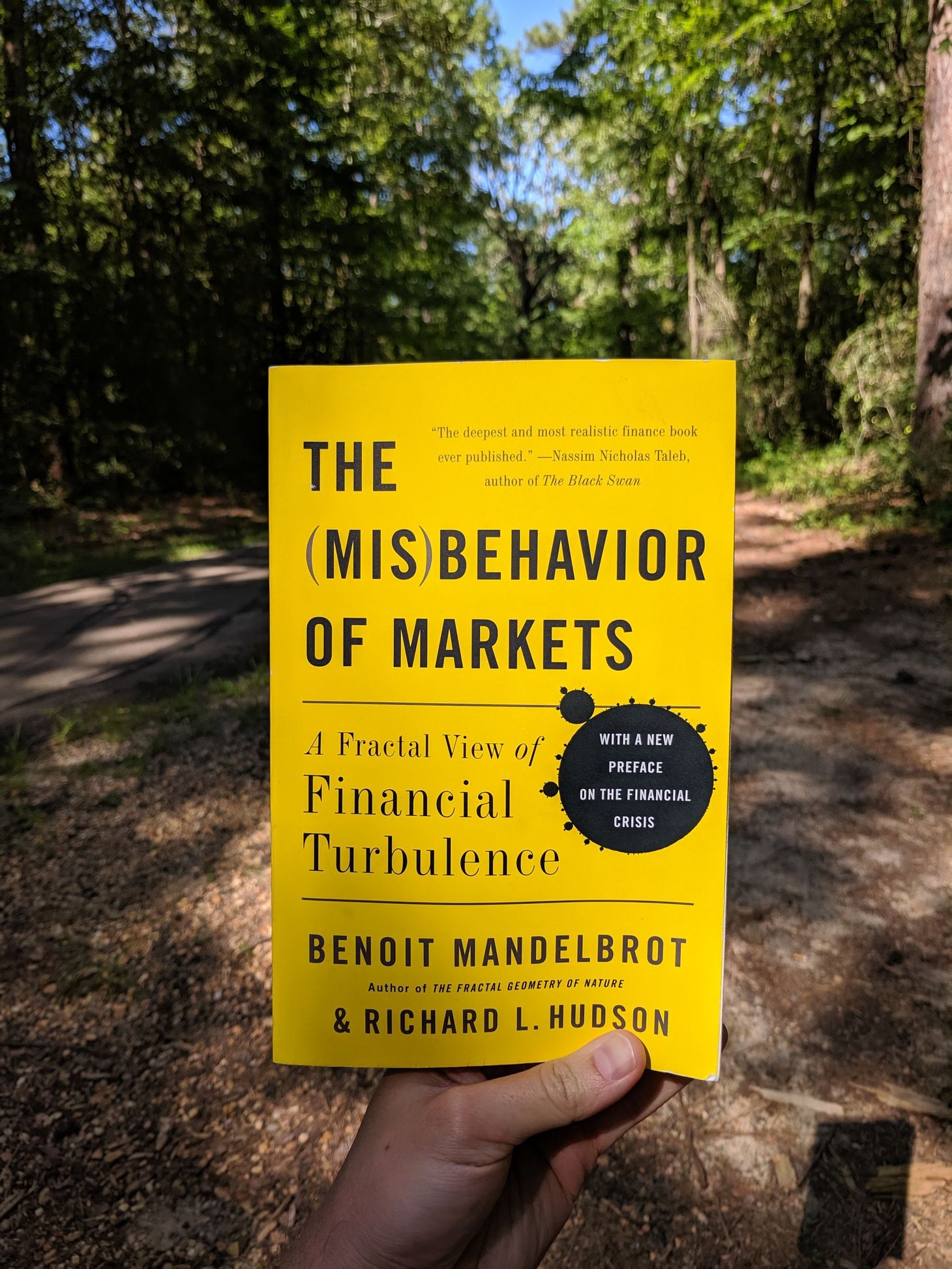 The Misbehavior of Markets Book Summary