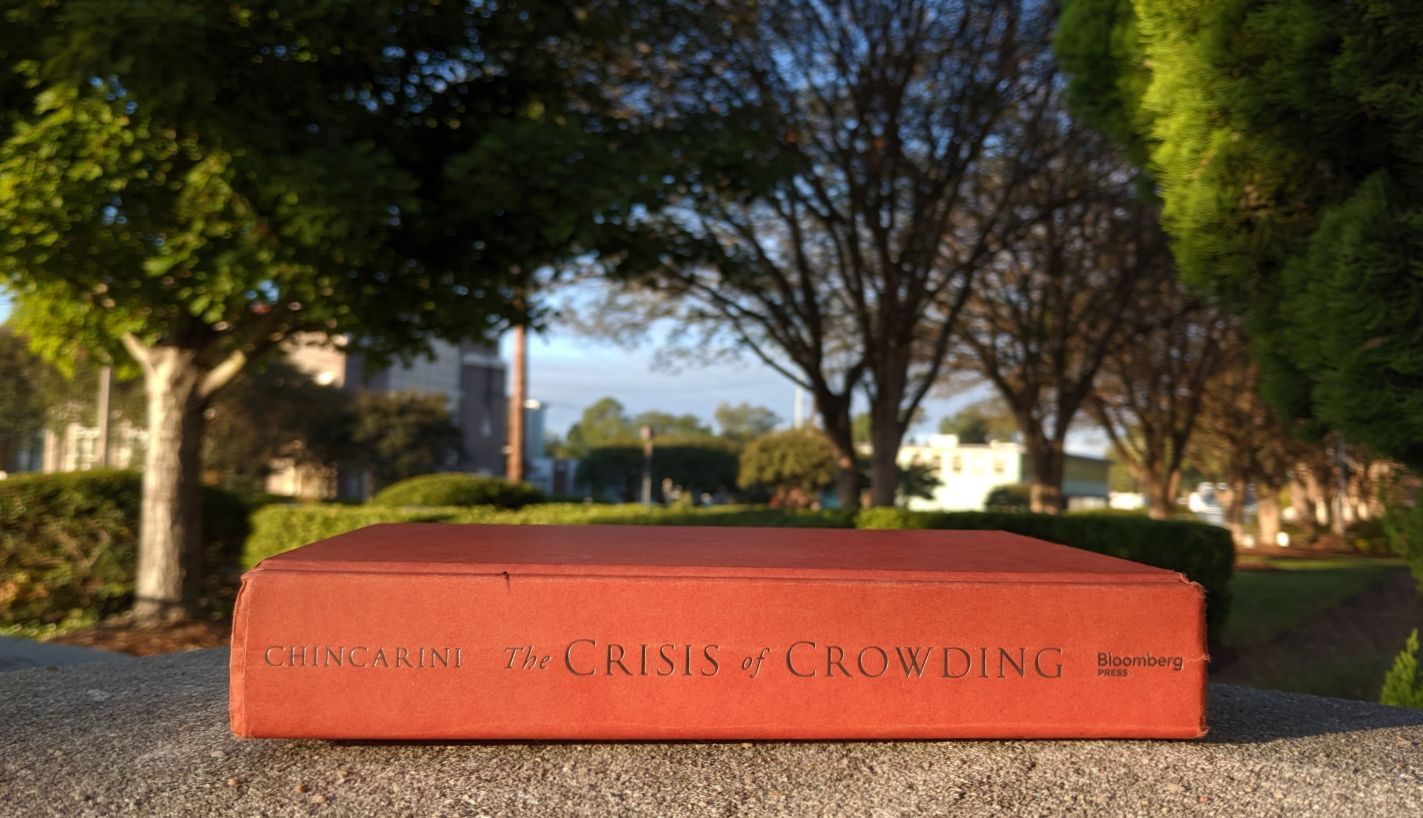 Side profile of The Crisis of Crowding by Ludwig Chincarini on a concrete surface with trees in the background.