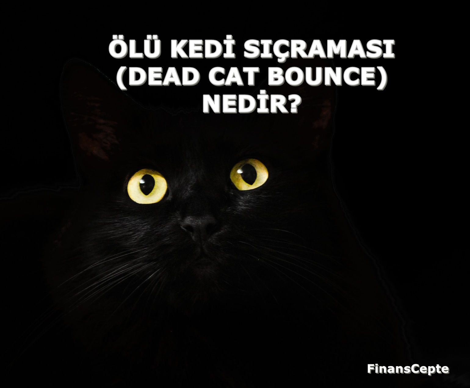 ÖLÜ KEDİ SIÇRAMASI (DEAD CAT BOUNCE) NEDİR?