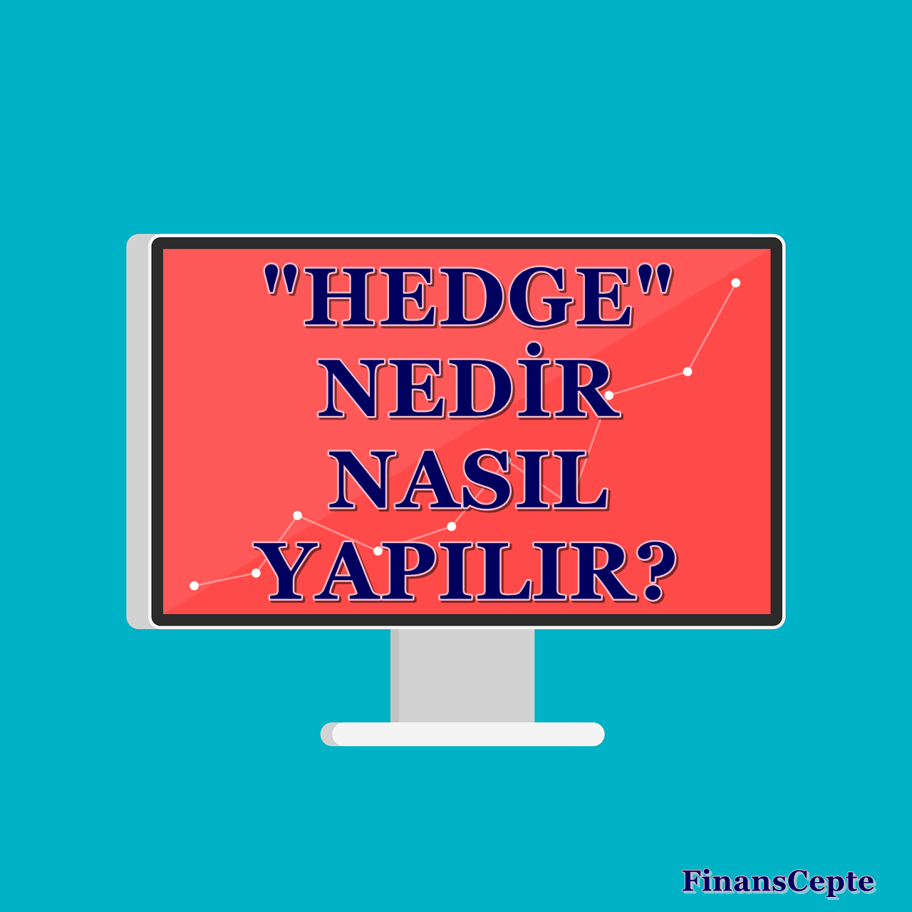 HEDGE NEDİR, NASIL YAPILIR?