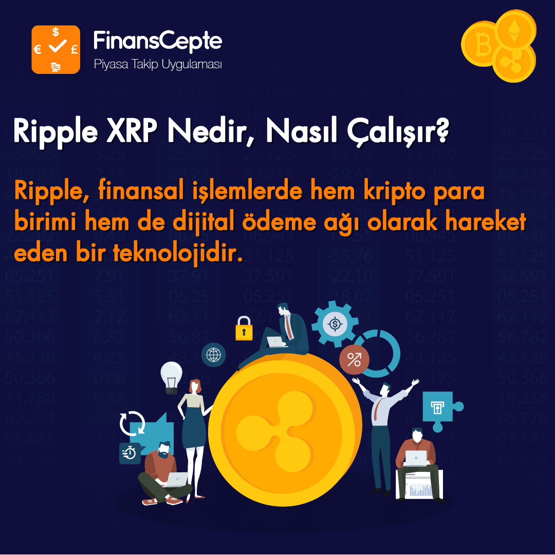 RIPPLE NEDİR?