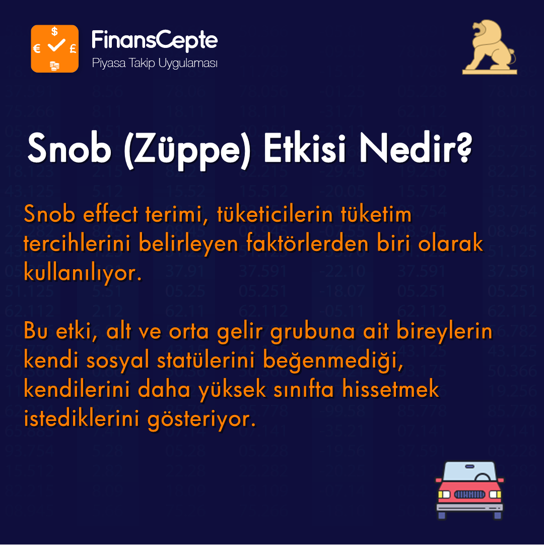 BİR KABULLENDİRME ÇABASI: SNOB ETKİSİ