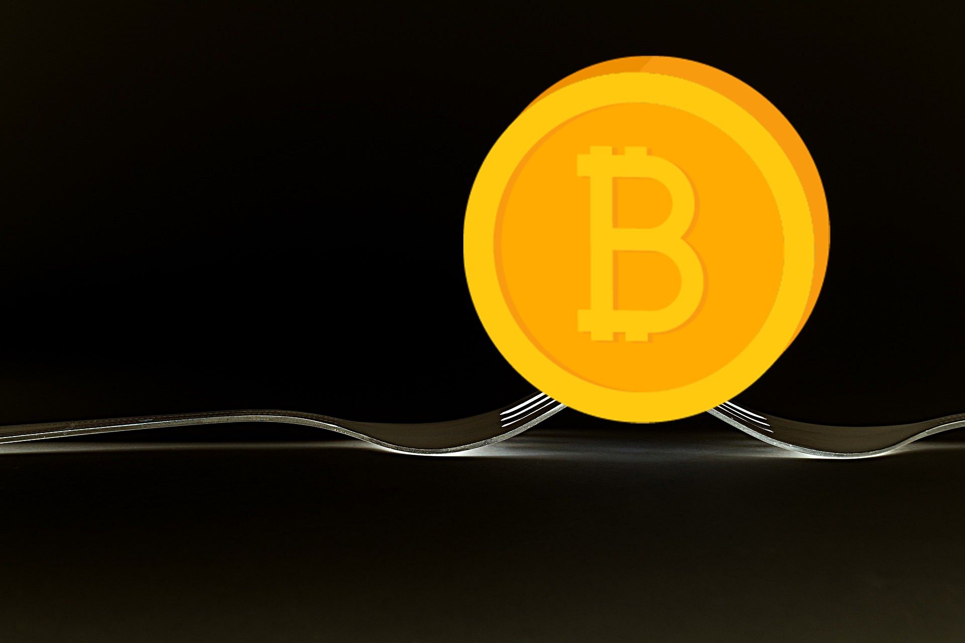 BITCOIN FORK NEDİR?