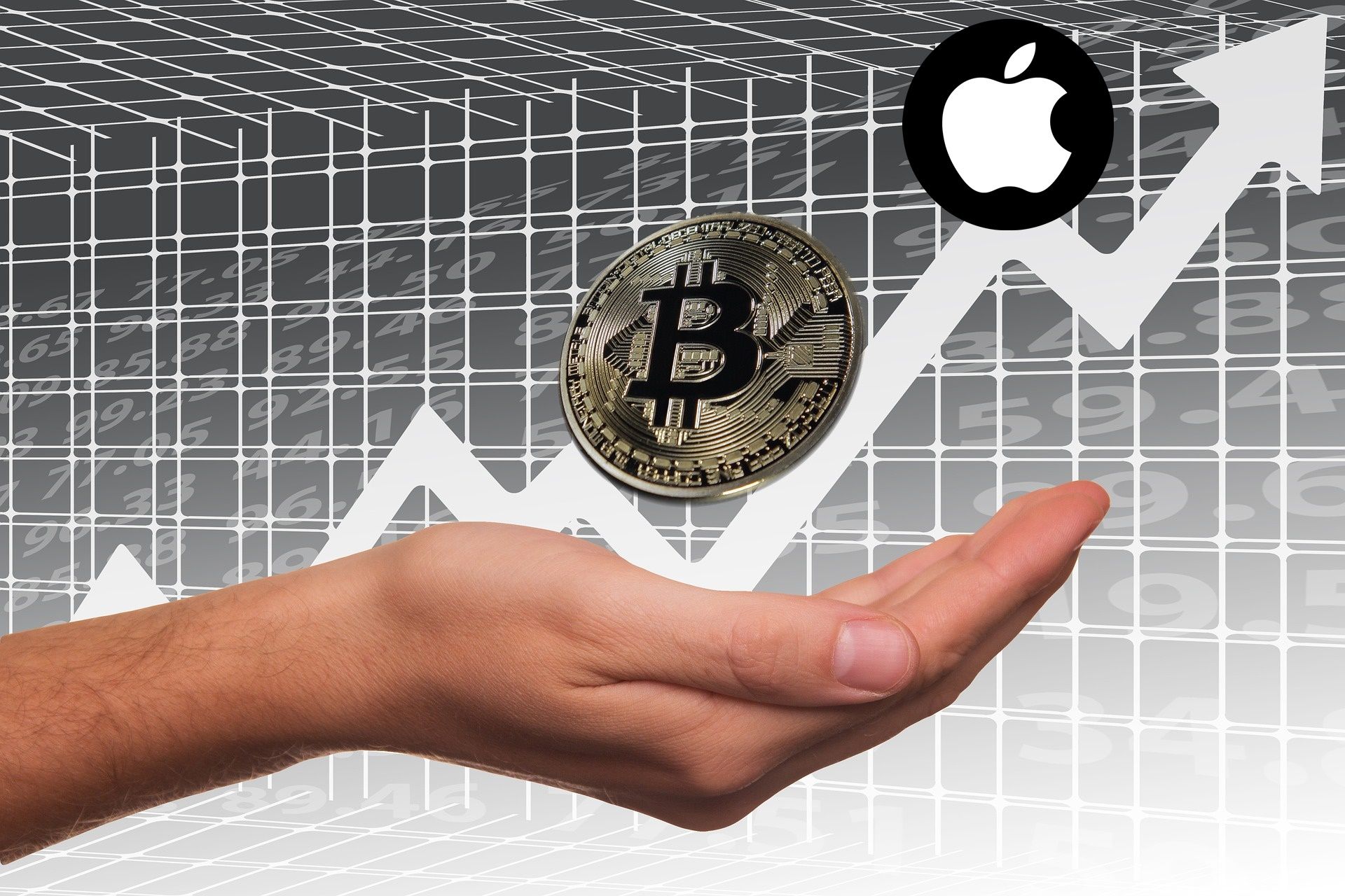 BITCOIN YENİ APPLE MI OLACAK?