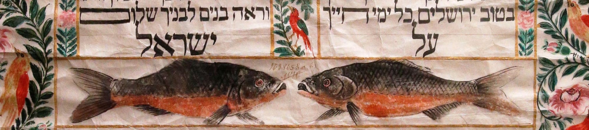 Judaism and Degrowth