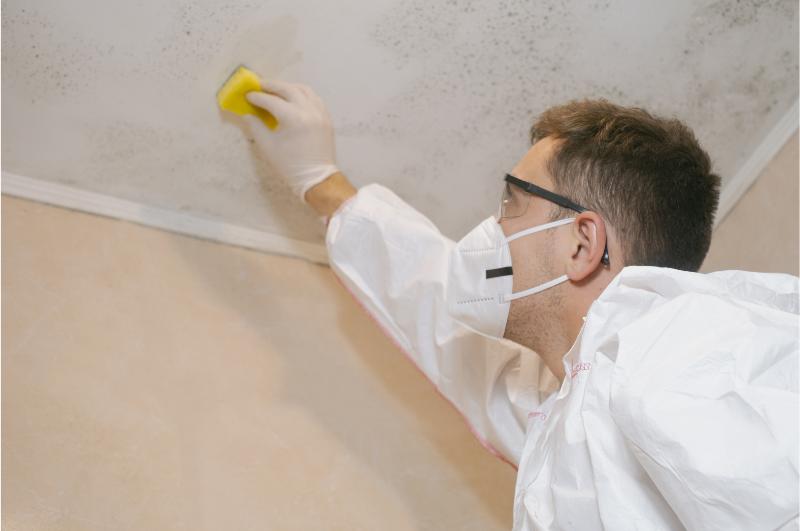 Utrecht Housing Corporations and GGD Sign Agreement to Tackle Mold in Social Rental Homes