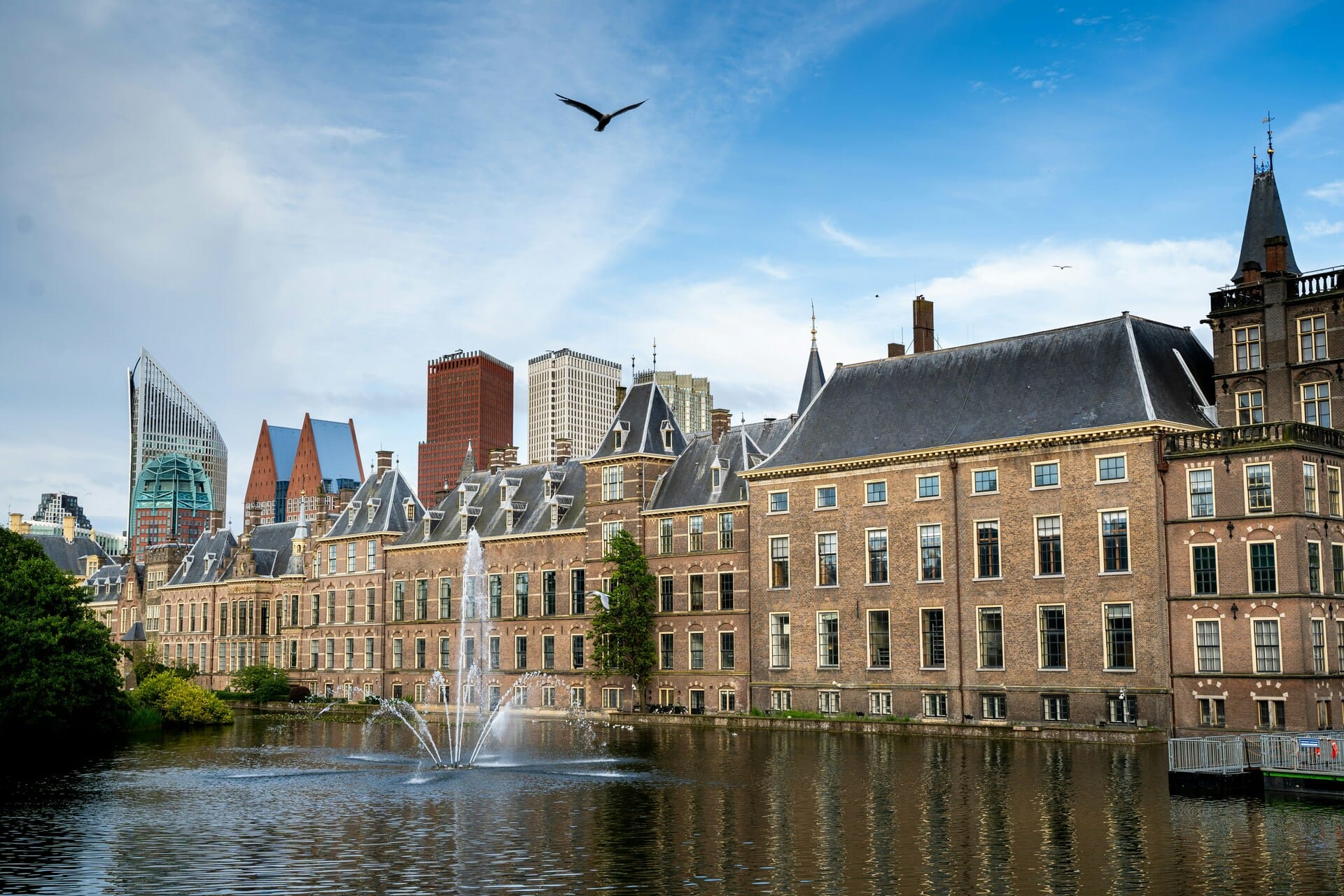 The Elections Are Over, What Is Happening Now?