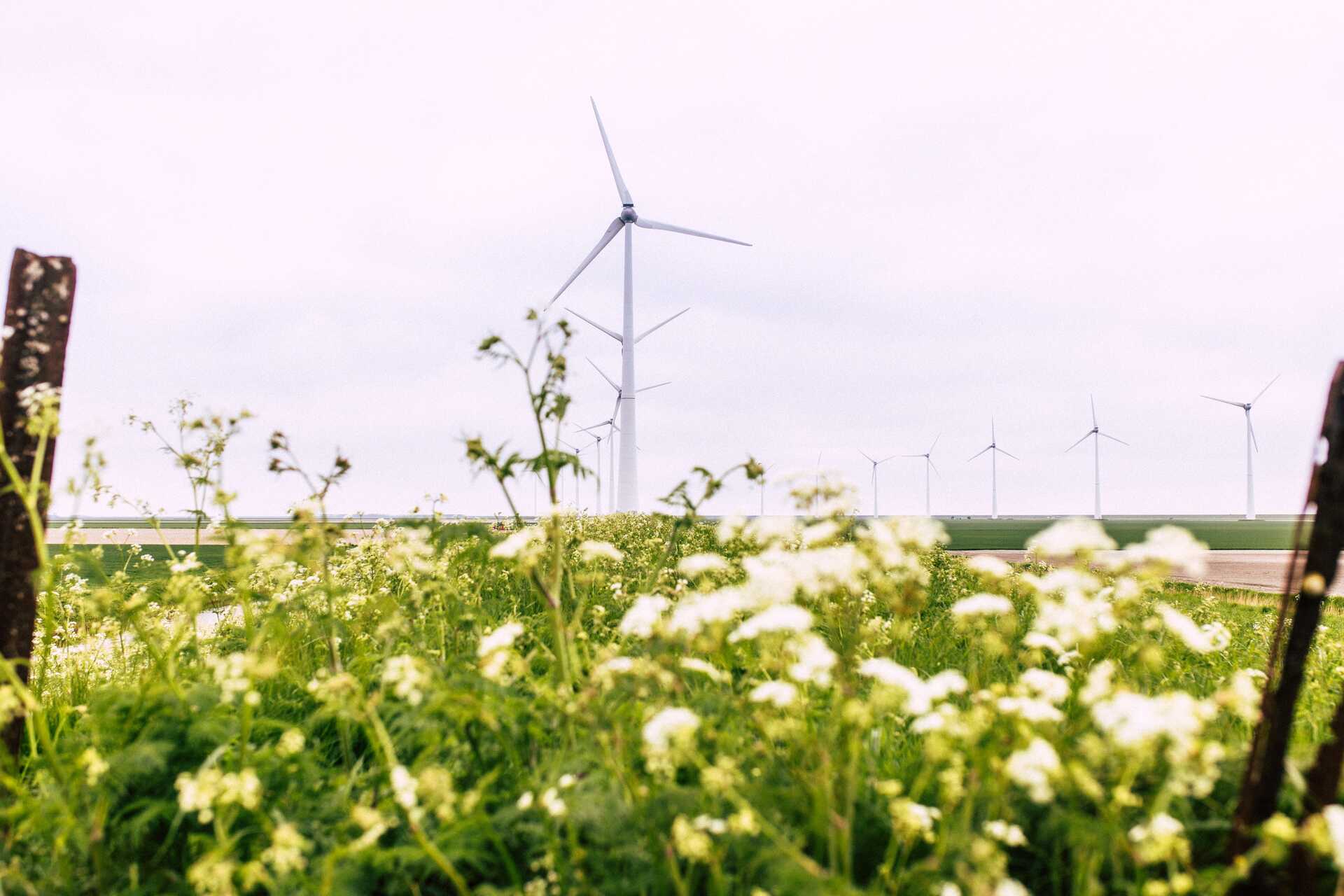 What the Upcoming Budget Cut for Groningen Could Mean for the City