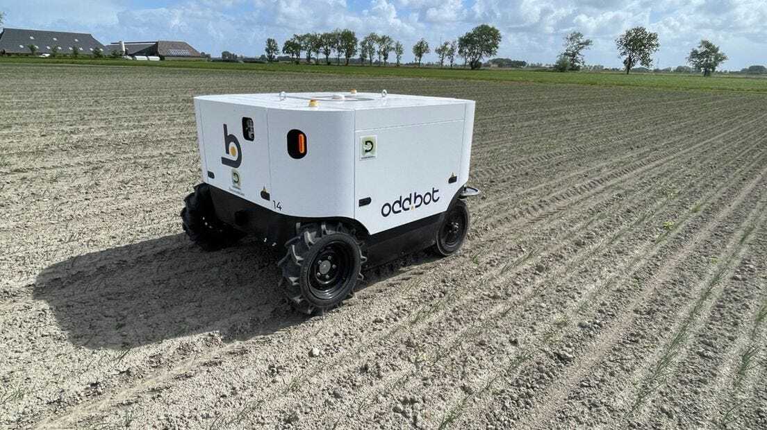AI-Powered Weeding Robot Tested on Groningen Farm