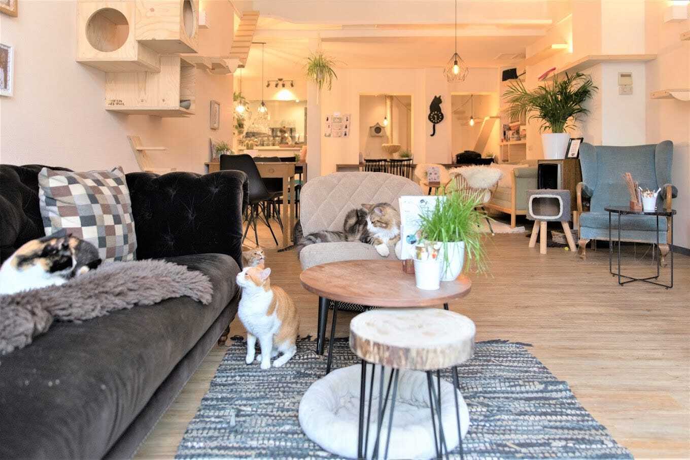 Date Ideas That Are Not Just Grabbing Beers