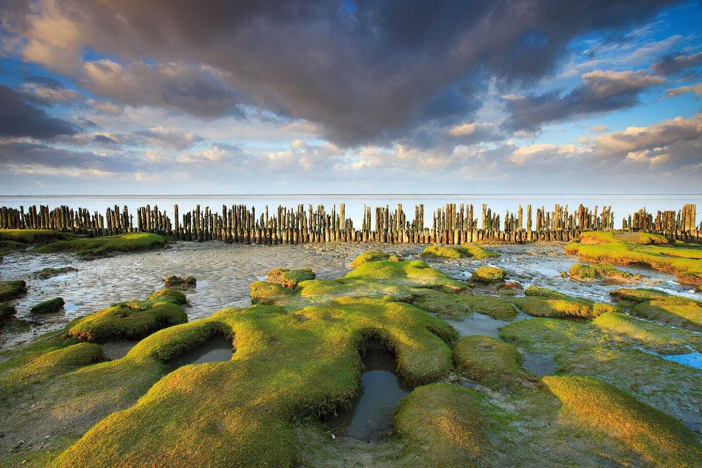 UNESCO World Heritage Site: The Wadden Coast of Groningen
