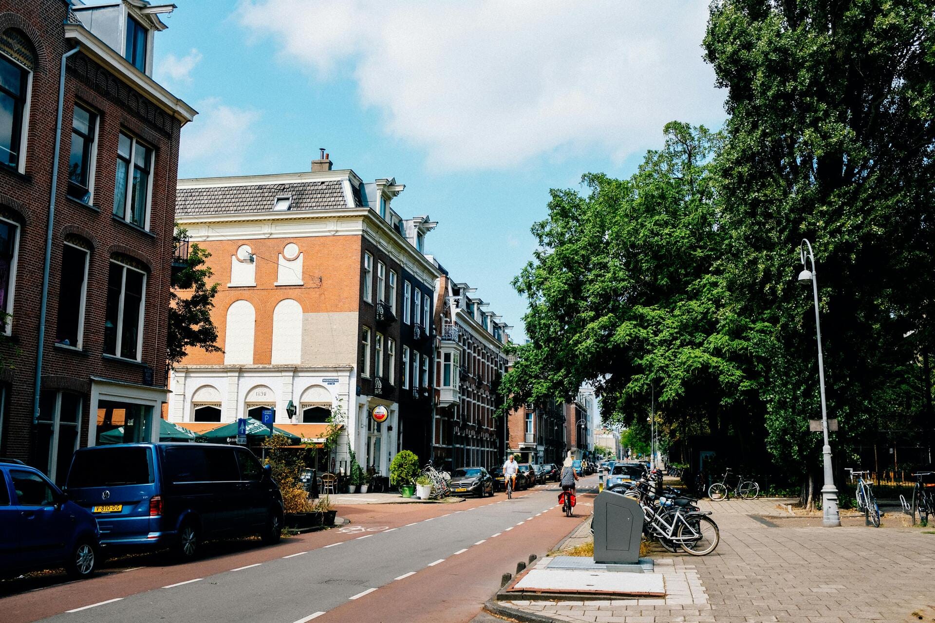 Dutch Health Institute Urges for More Trees and Green Views in Neighbourhoods