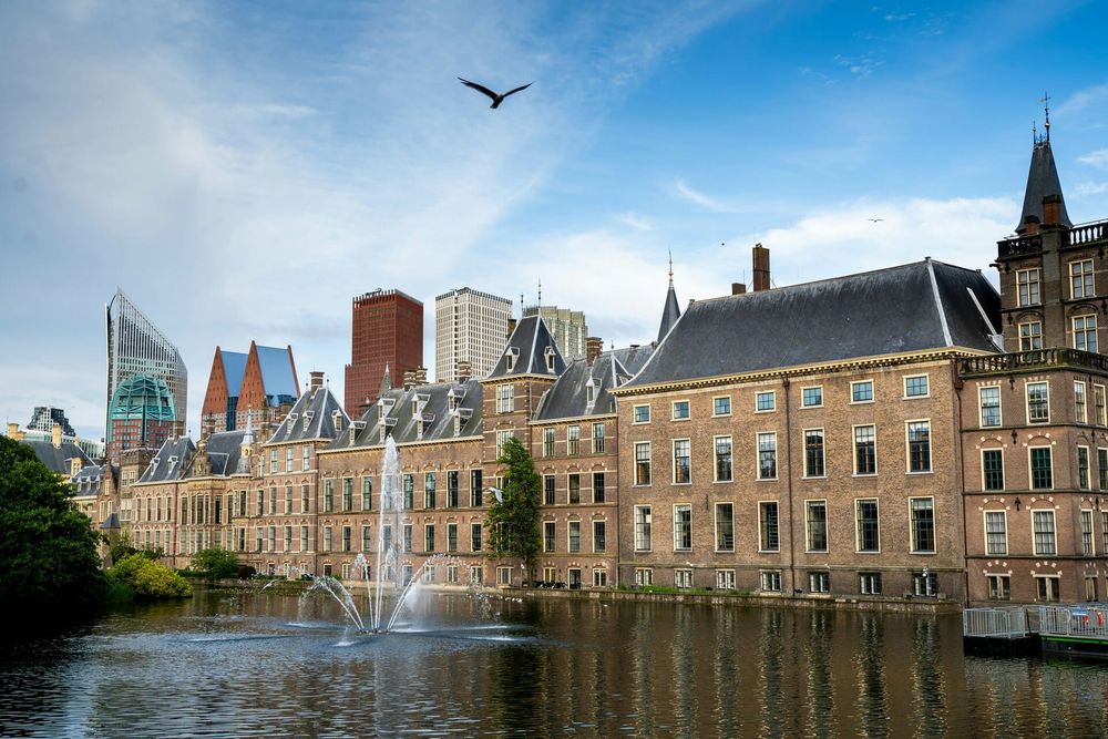 The Elections Are Over, What Is Happening Now? post image