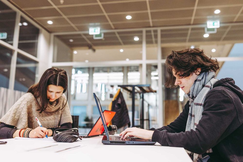 High Dropout Rates Among Dutch University Students Linked to Poor Course Choices post image