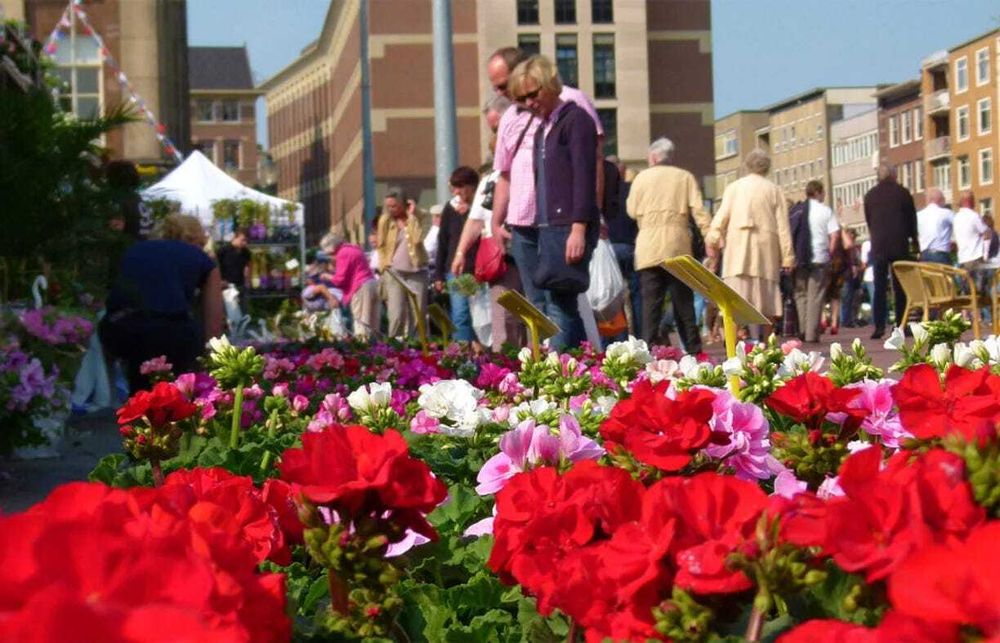 Bloemenjaarmarkt, the Largest Plant and Flower Market in the Northern Netherlands post image