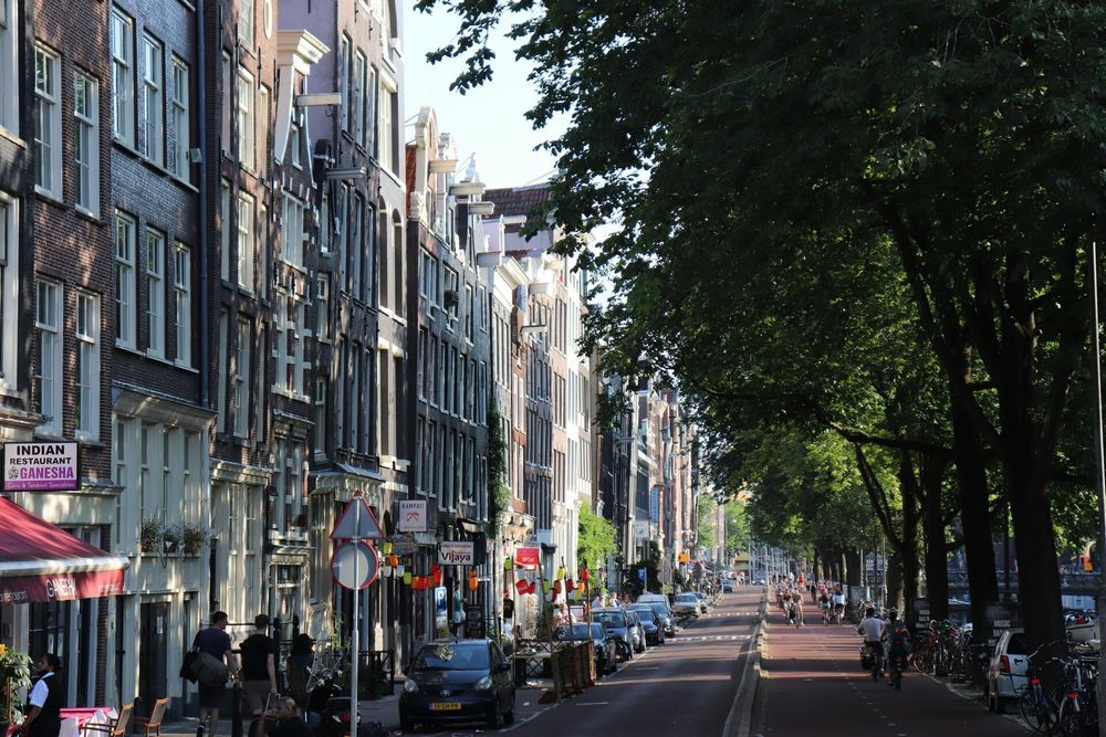 Four in Ten Dutch Homes Now Carry Top Energy Labels post image