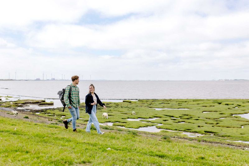 Unusual Dutch Laws You Might Unknowingly Be Breaking post image