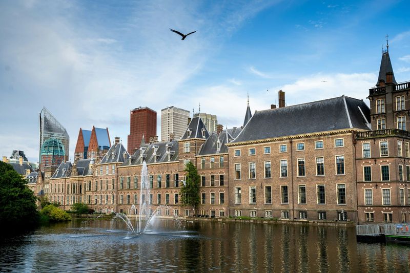 The Elections Are Over, What Is Happening Now? post image