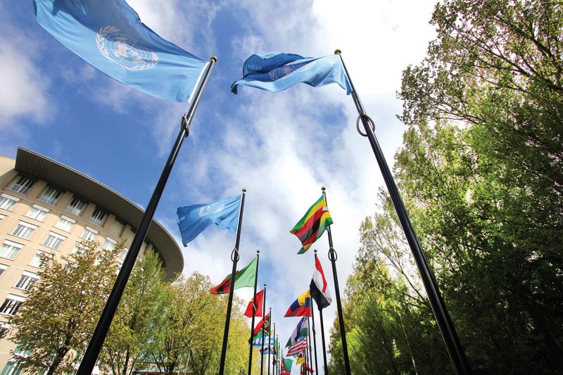 Dutch Government's Short-Term Focus Risks Long-Term Prosperity, Experts Warn post image