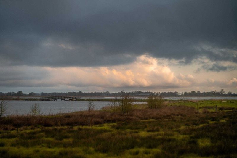 Storm Conall Brings Code Orange Alerts to Northern Netherlands post image