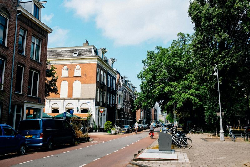 Dutch Health Institute Urges for More Trees and Green Views in Neighbourhoods post image