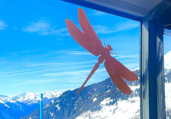 Vipassana: 10 Days of Silence in India — Part 3: The Girdle of Liquid Fire, Day 4