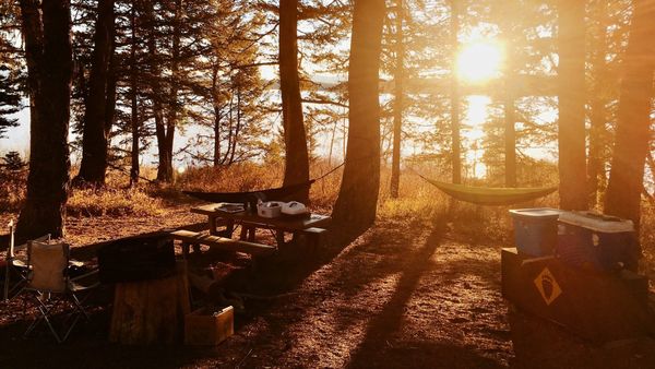 Untroubled
