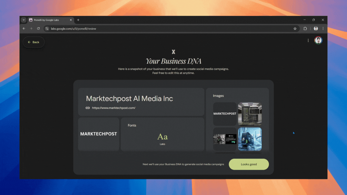 Business DNA (Pomelli)