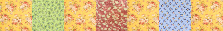 Quilt strip image