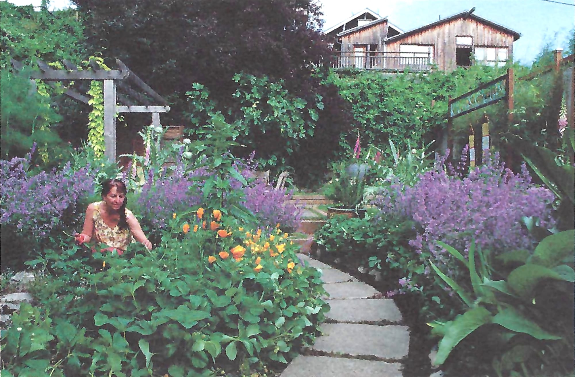 Photo of Sandra Dean kneeling in her garden with flowering plants all around her.