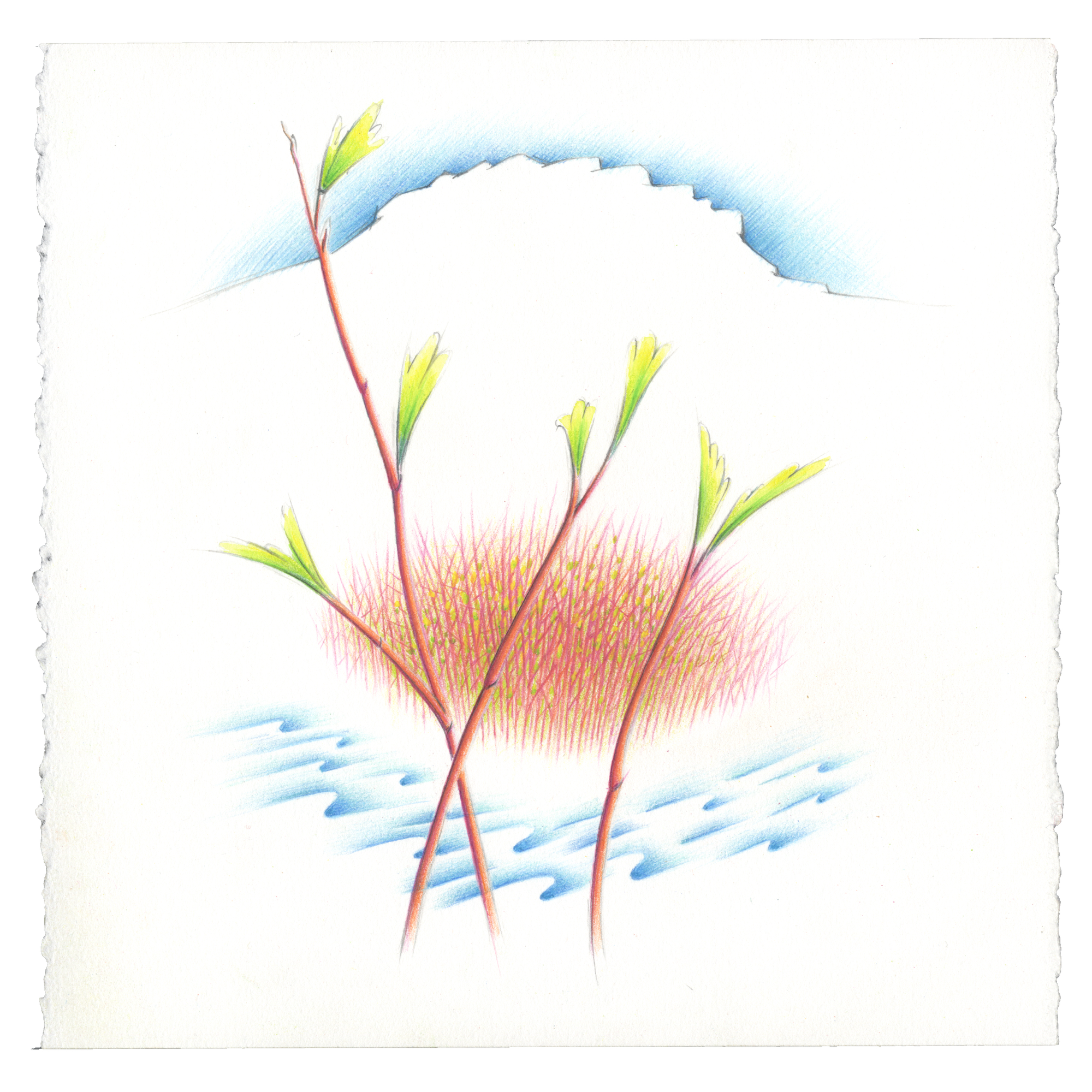 Image of painting of creek and red osier dogwood branches with green leaves, and white silhouette of butte in background, lined by blue sky