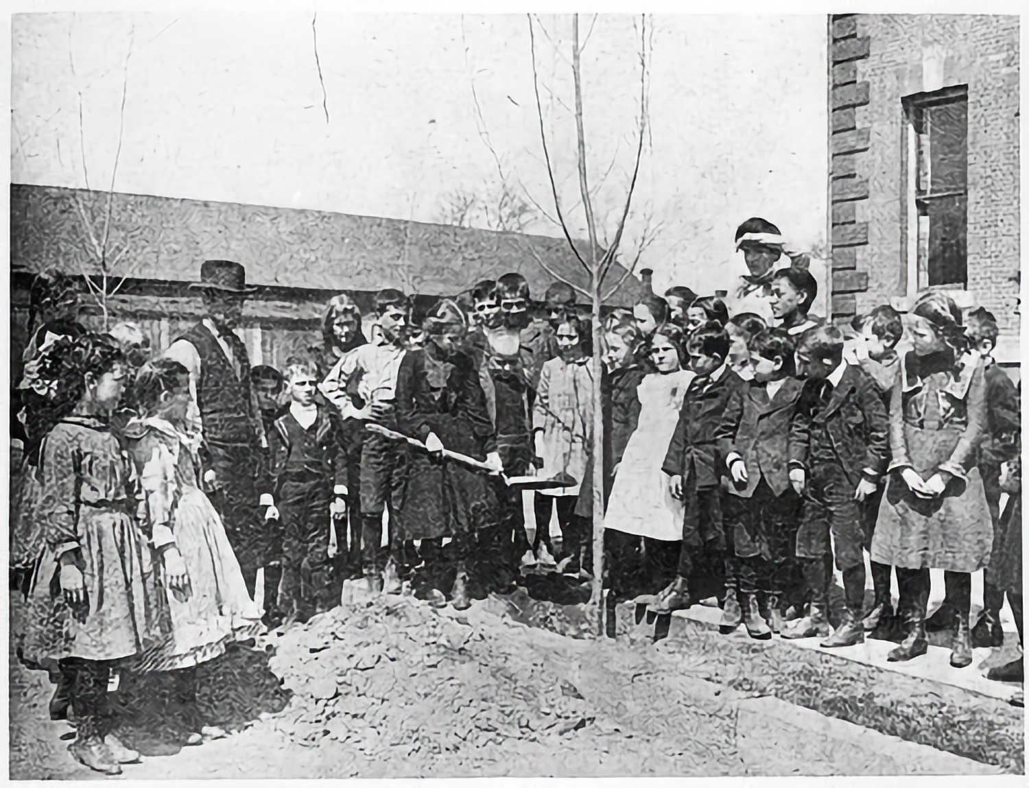 Photo of schoolchildren and some adults, one woman holding a shovel, in semicircle around a bare tree just planted.