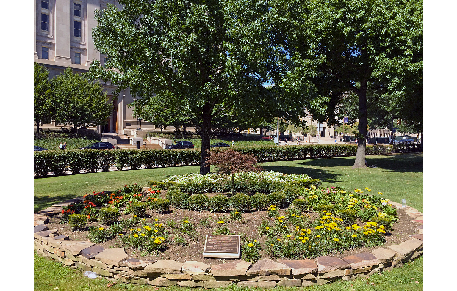 Photo of a circular garden with two maple trees in background, on a college campus