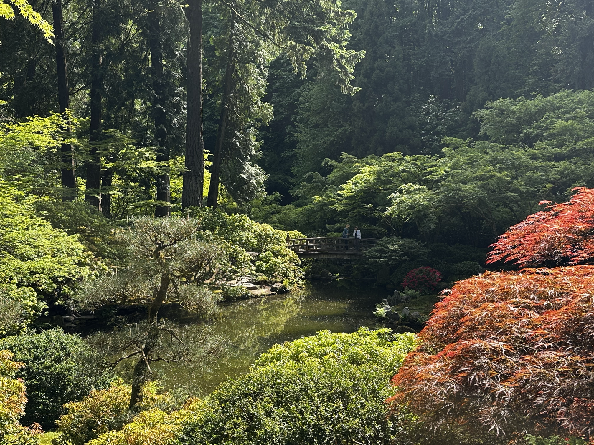 Photo of pond surrounded buy lush vegetation in green and rust, with a small bridge in background