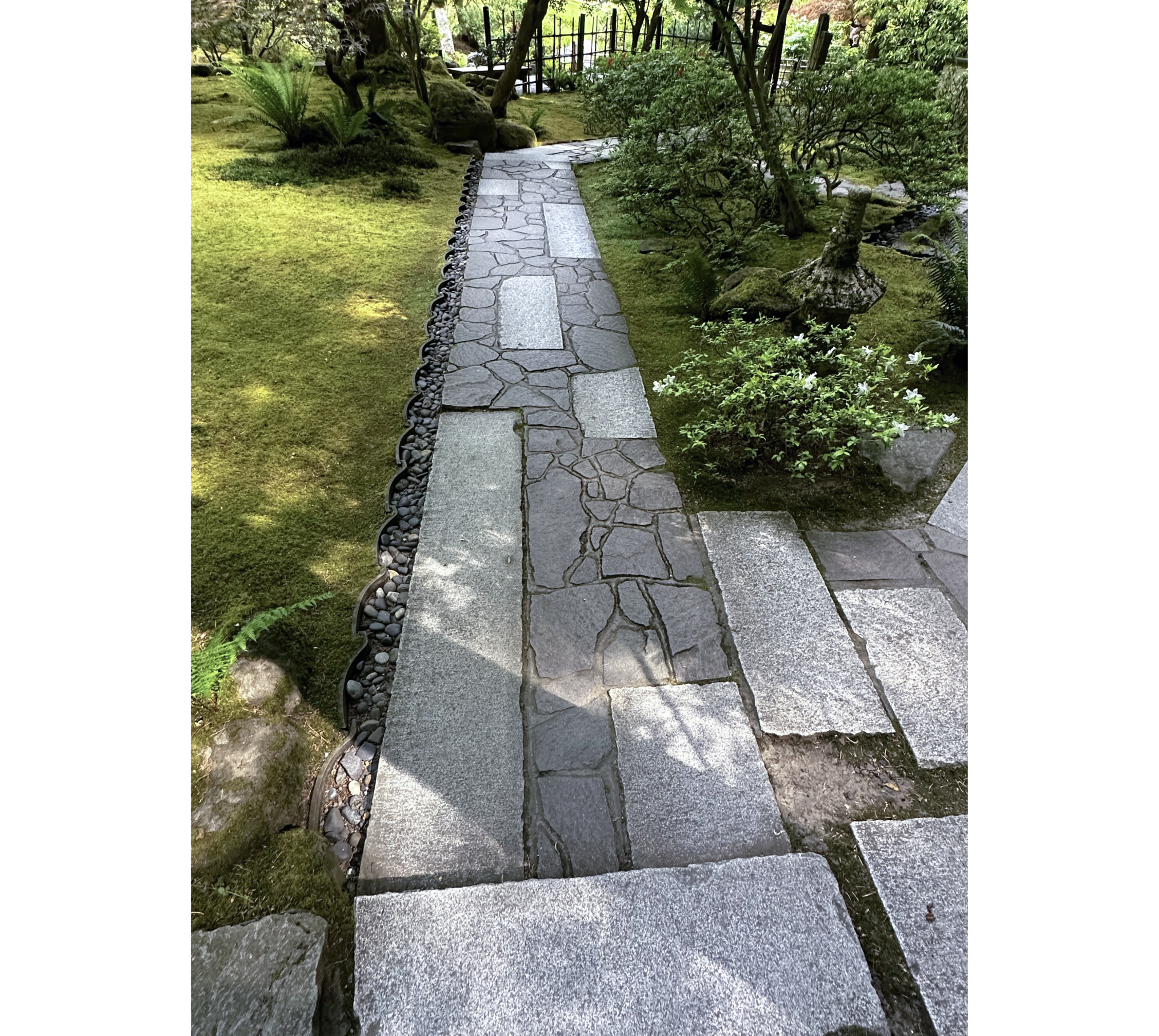 Photo of path made of light and dark grey stone, with low shrubs on right and grass on left