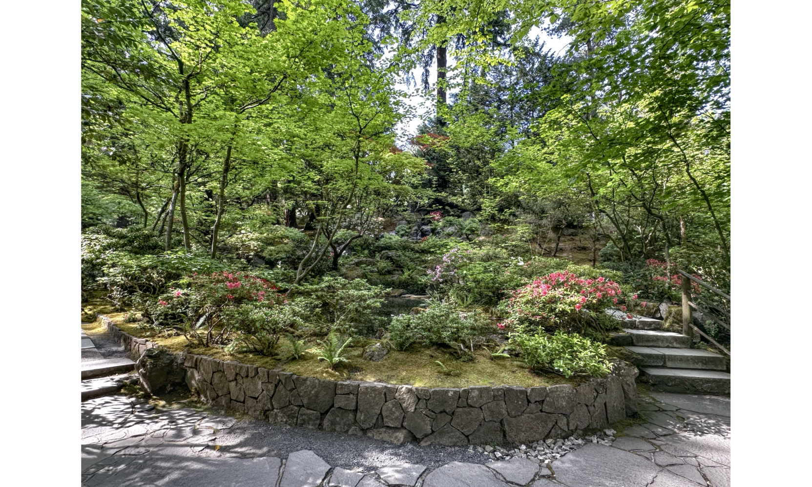 Photo curved low stone wall, with steps on either side, covered with moss and plantings, and small trees in background