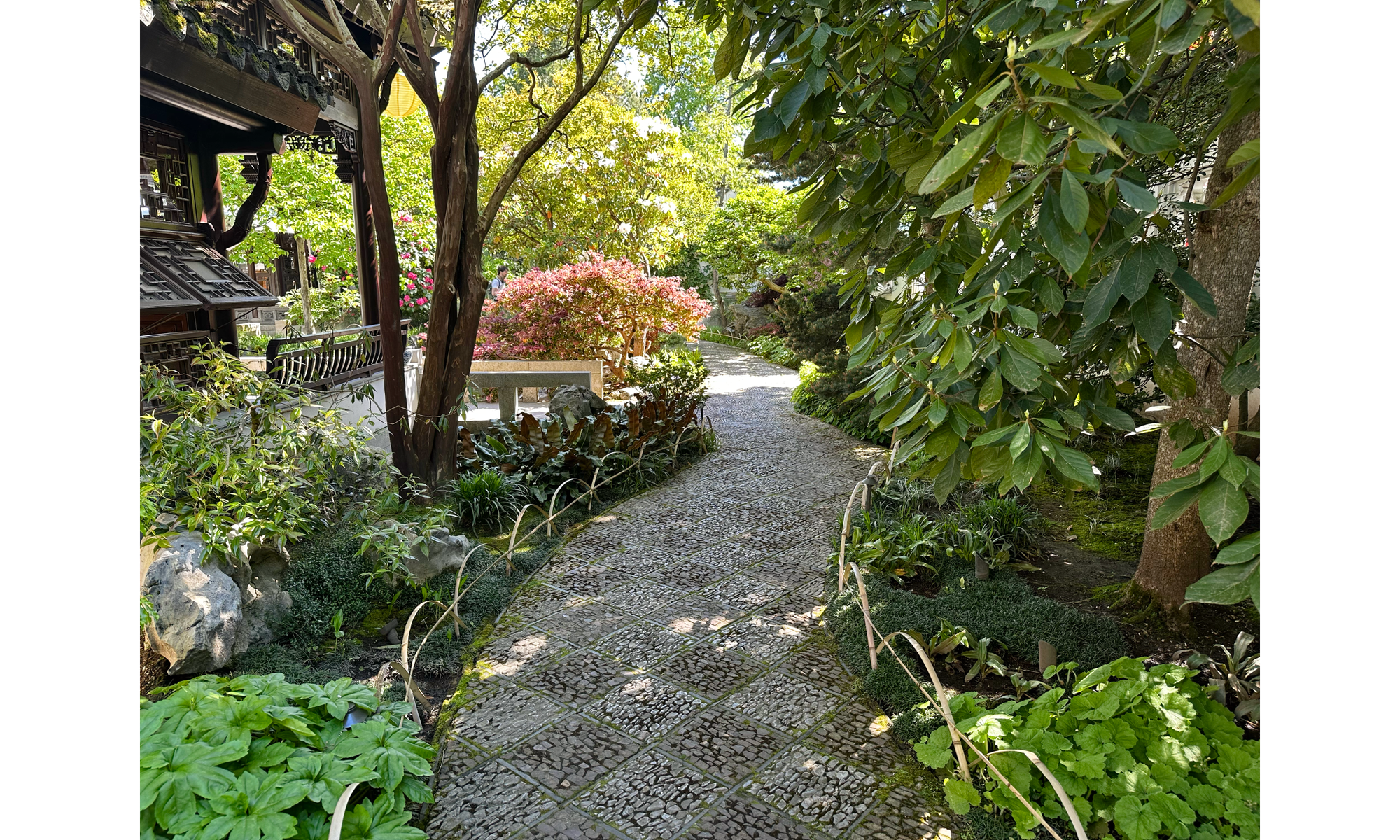 Photo of sotne mosaic pathway with vegetation on either side, and light red shrub in background