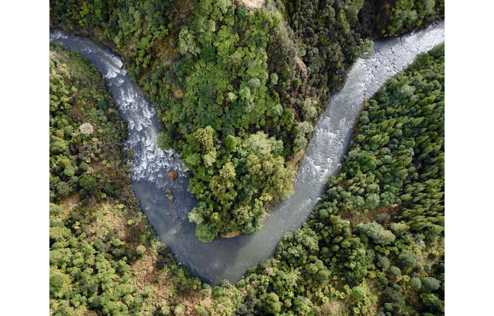 Photo from above of a "v" in a river flowing through dense green vegetation