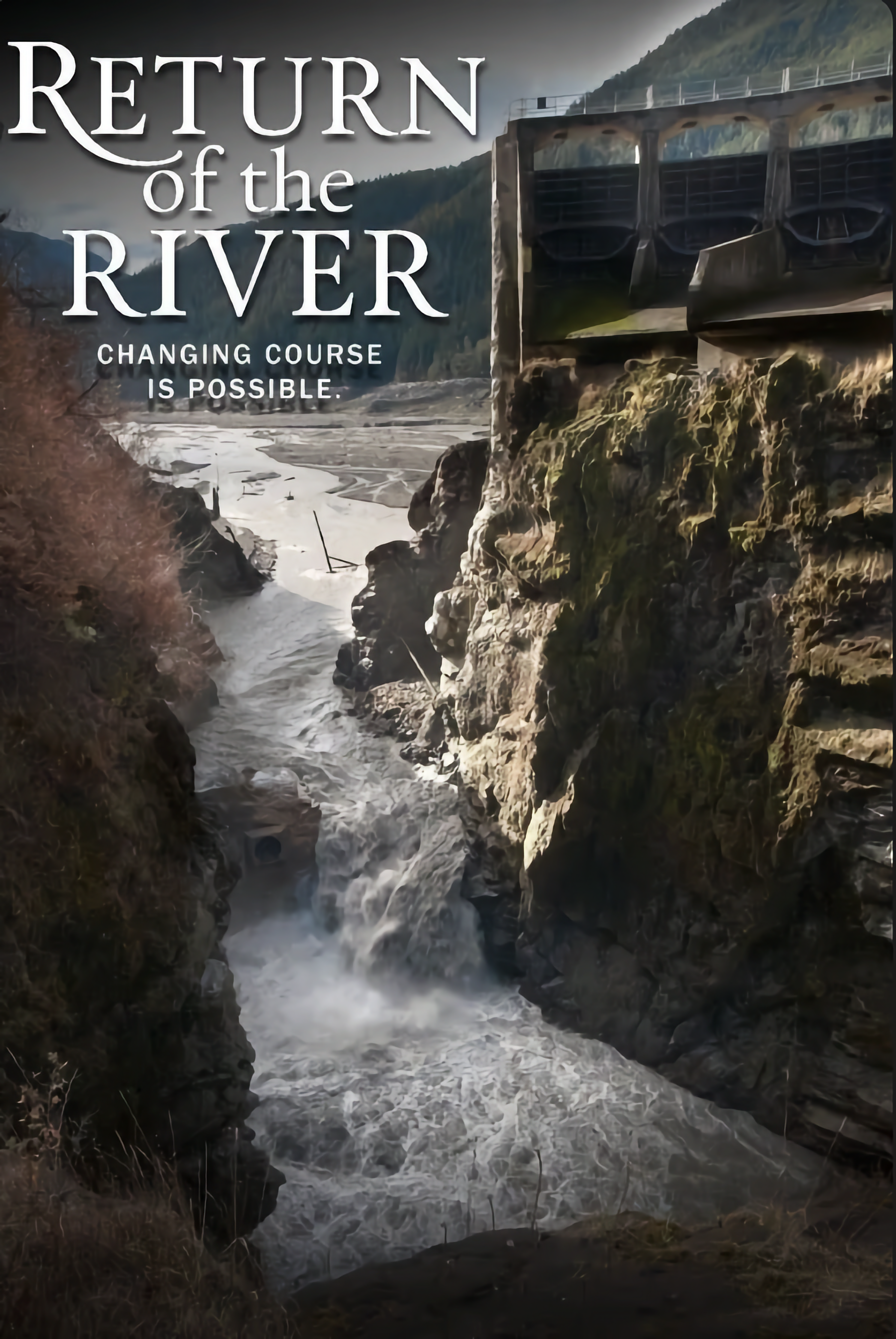 Image of movie poster showing a river breaching a dam