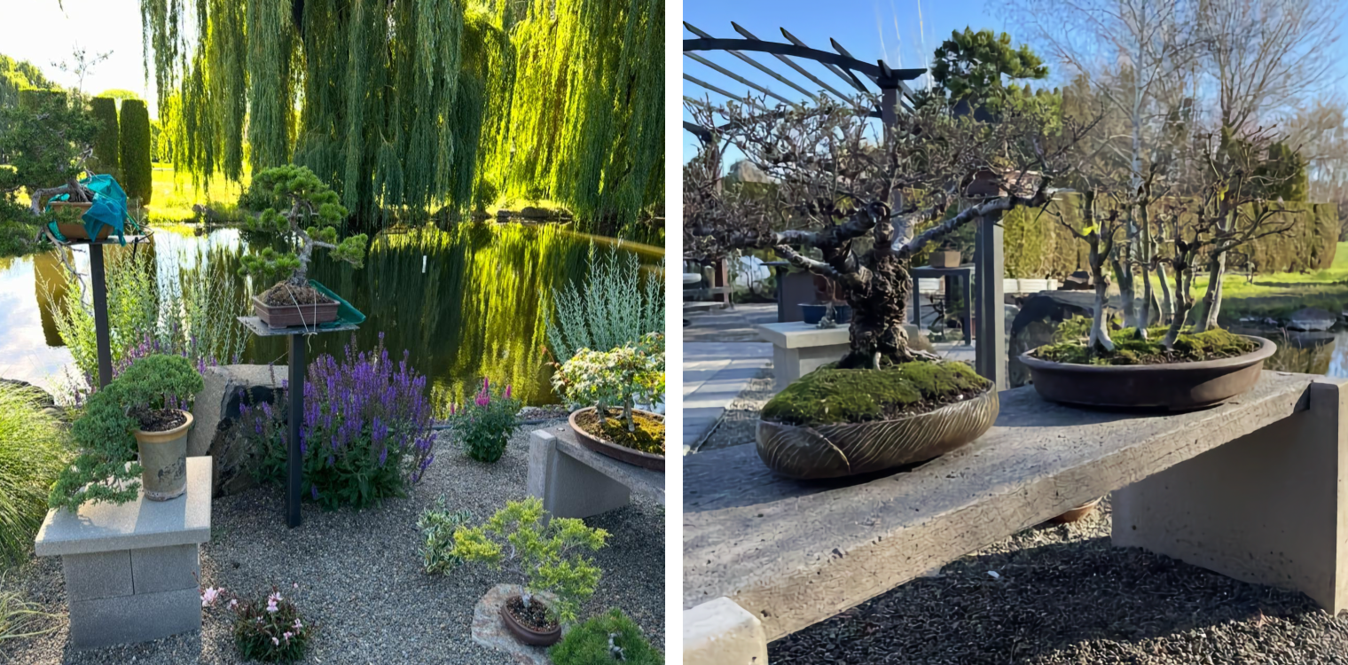 Photo diptych: quiet pond surrounded by colorful plants, with willow tree in back; two larger bonsai plants in stone basins, with arbor in back