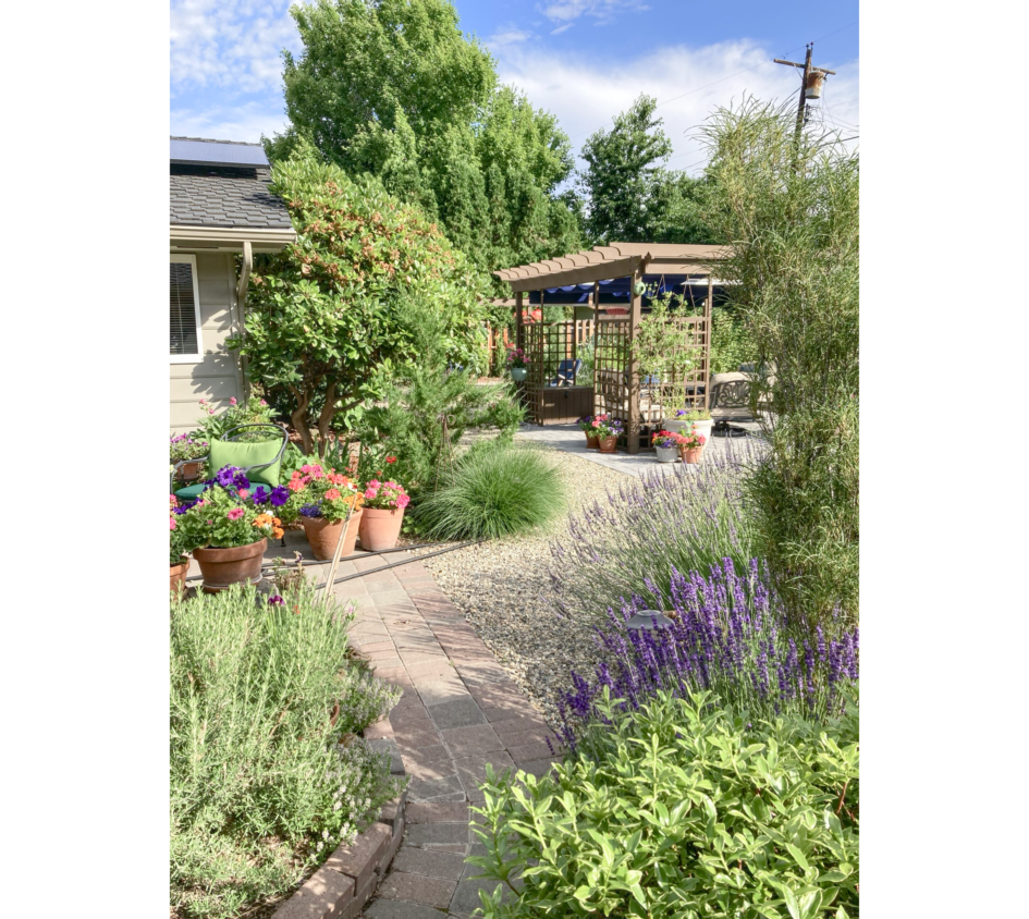 Photo of curved stone path in foreground to back right, ending in an arbor, with green and purple native plants on the sides