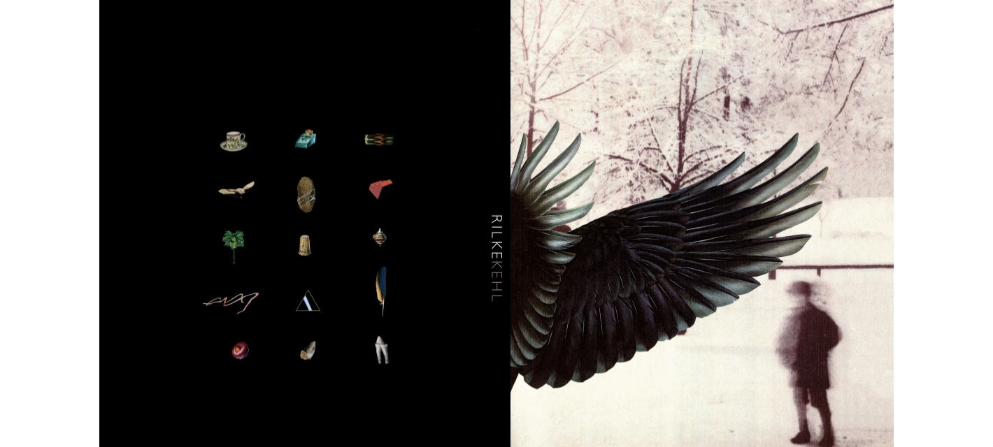 Image of book covers spread: small objects on black background, black wing of a bird in front of a man walking on snow