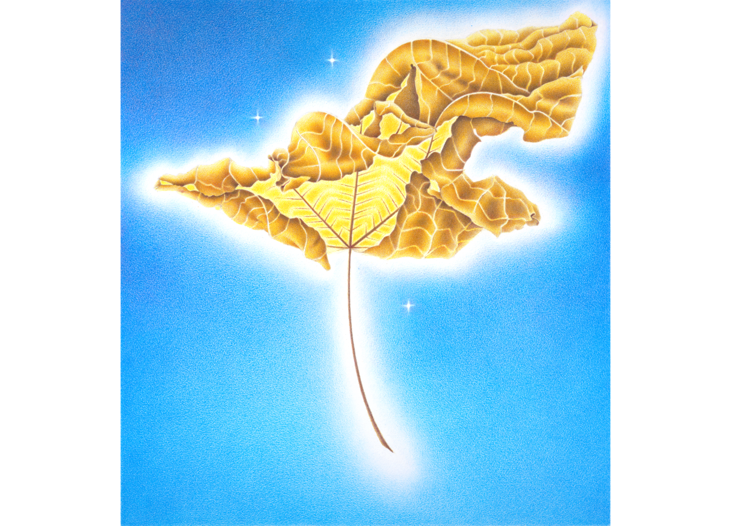 Image of drawing of curled brown leaf floating in front of a blue sky with three stars