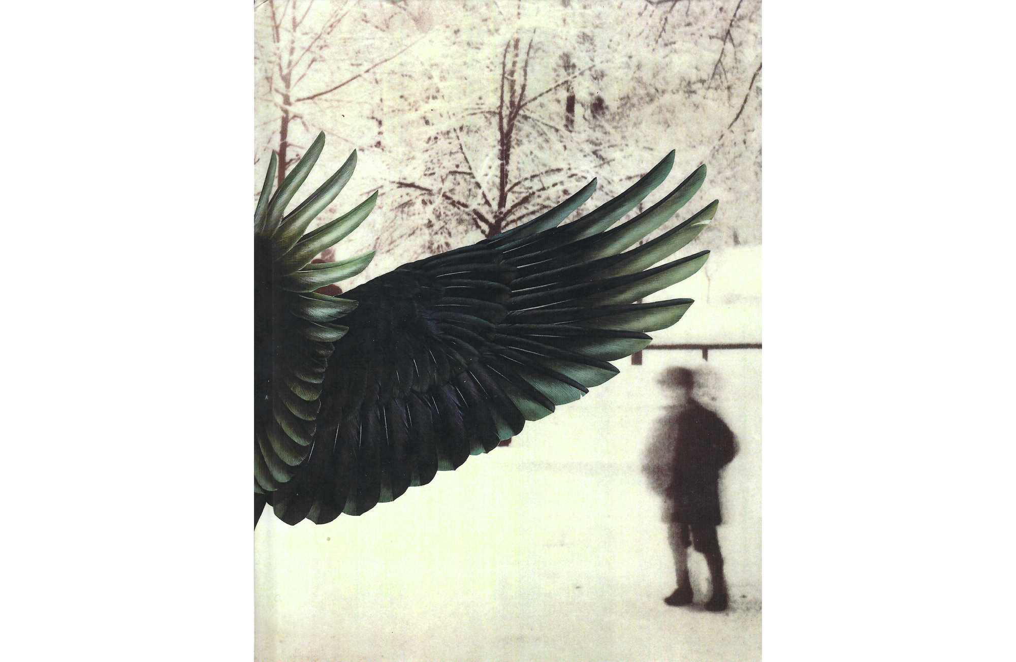 Image of book cover with black wing in front of man walking on snow