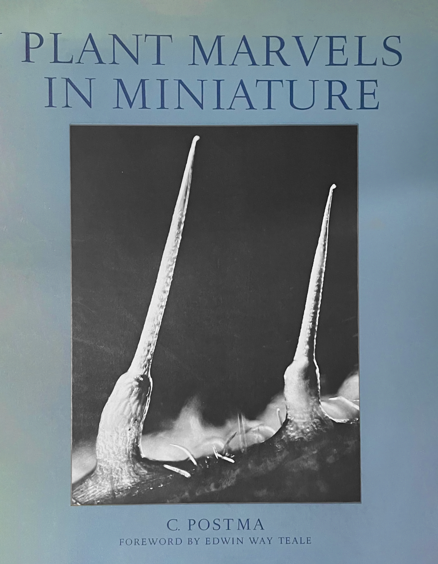 Photo of blue front book cover of Plant Marvels in Miniature, with photo of nettle spikes at large scale